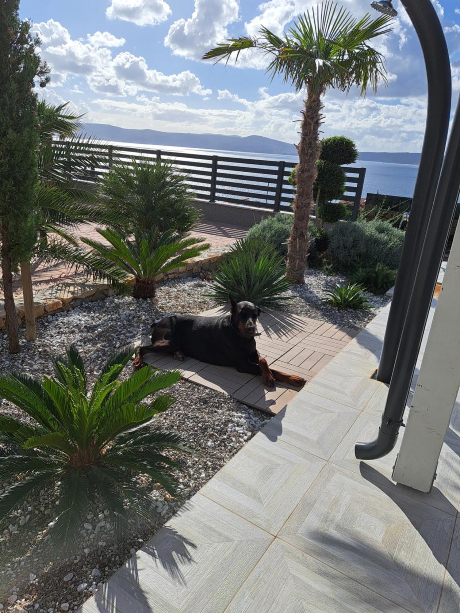 Villa Belissima Vista Mare 셀스 외부 사진