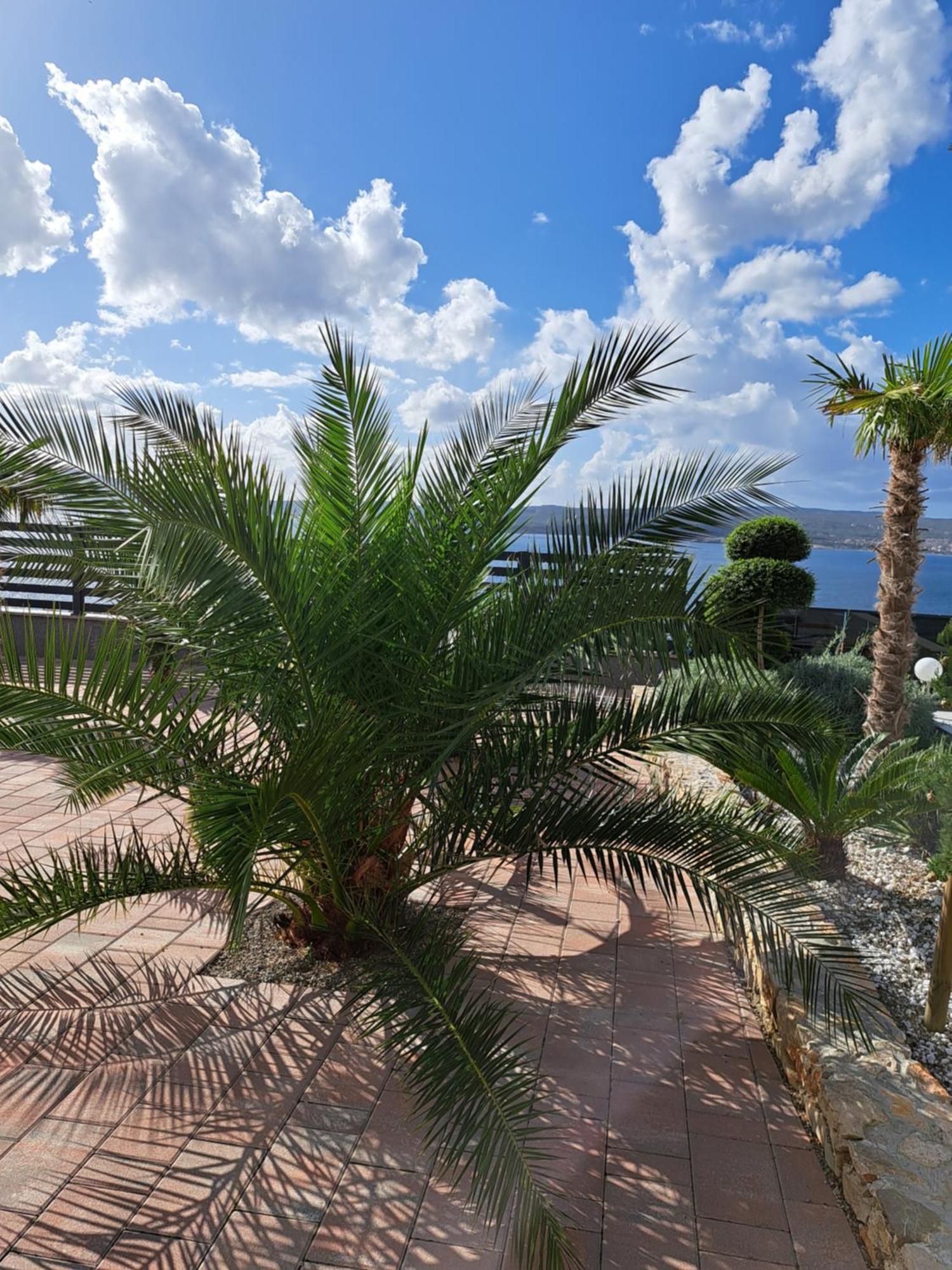 Villa Belissima Vista Mare 셀스 외부 사진
